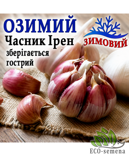 Чеснок севок озимый Ирен Украина 1 кг 