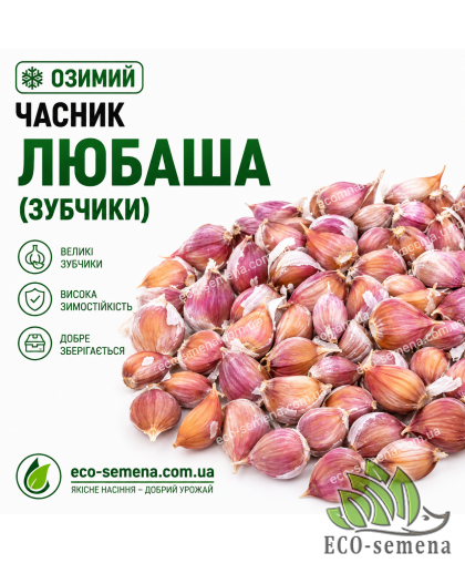 Чеснок озимый Любаша (зубчики) 1 кг Чеснок озимый Любаша (зубчики) 1 кг