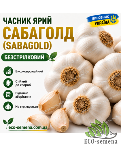 Чеснок яровой Сабаголд (Sabagold) Украина 1 кг Чеснок яровой Сабаголд (Sabagold) Украина 1 кг