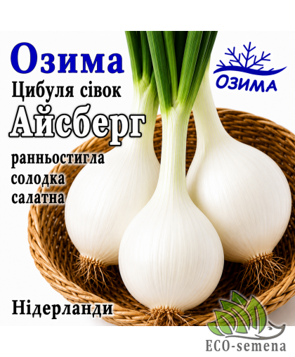 Лук-севок озимый Айсберг (Aisberg) Broer / Нидерланды 1 кг Лук-севок озимый Айсберг (Aisberg) Broer / Нидерланды 1 кг