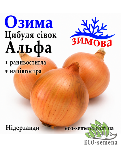 Лук-севок озимый Альфа (Alfa) TOP Onions / Нидерланды 0,5 кг 