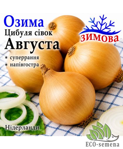 Лук-севок озимый Августа (Augusta) TOP Onions / Нидерланды 0,5 кг 
