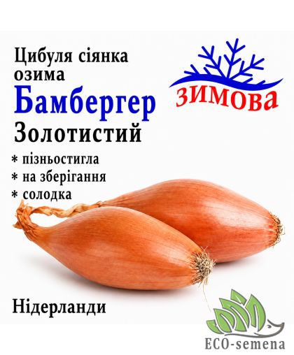 Лук-севок Бамбергер Золотистый (Дельфин) Broer / Нидерланды 0,5 кг