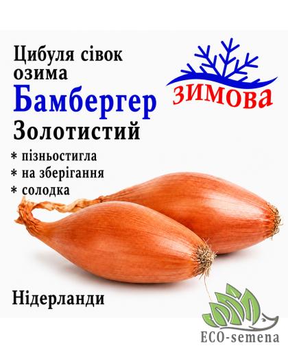 Лук-севок Бамбергер Золотистый (Дельфин) Broer / Нидерланды 0,5 кг