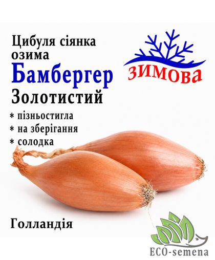 Лук-севок Бамбергер Золотистый (Дельфин) Broer / Голландия 0,5 кг