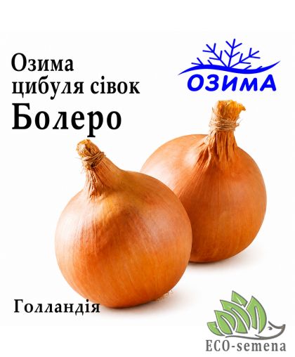 Лук-севок озимый Болеро (Bolero) TOP Onions / Голландия 0,5 кг Лук-севок озимый Болеро (Bolero) TOP Onions / Голландия 0,5 кг