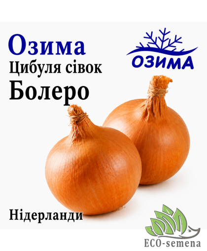 Лук-севок озимый Болеро (Bolero) TOP Onions / Нидерланды 1 кг 