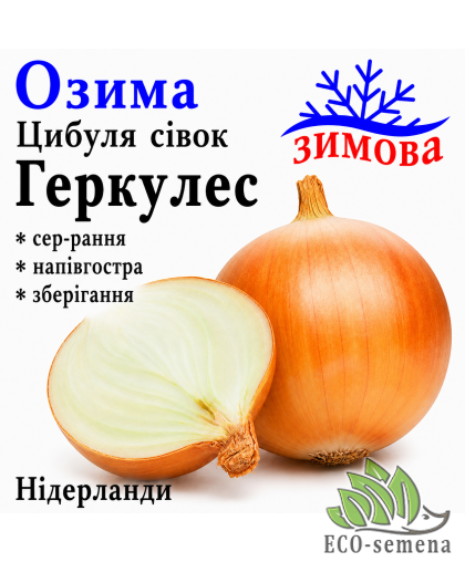 Лук-севок озимый Геркулес (Hercules) Broer / Нидерланды 1 кг Лук-севок озимый Геркулес (Hercules) Broer / Нидерланды 1 кг