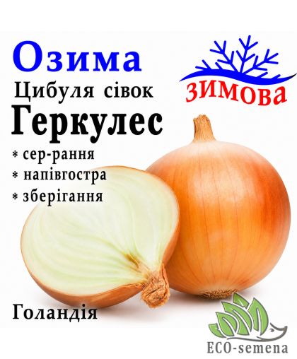 Лук севок озимый Геркулес (Hercules), Голландия 0,5 кг Лук севок озимый Геркулес (Hercules), Голландия 0,5 кг