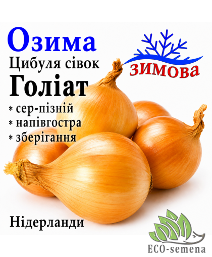 Лук-севок озимый Голиат (Goliat) Broer / Нидерланды 0,5 кг 