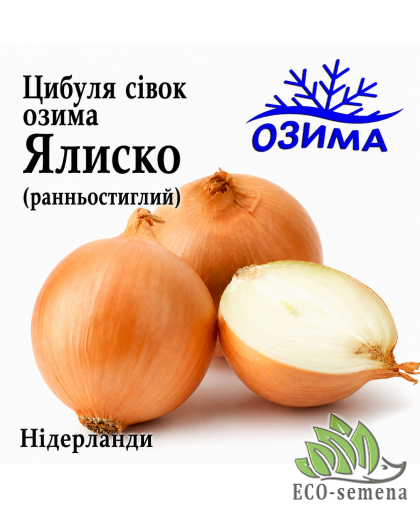 Лук-севок озимый Ялиско (Jalisko) TOP Onions / Нидерланды 1 кг 