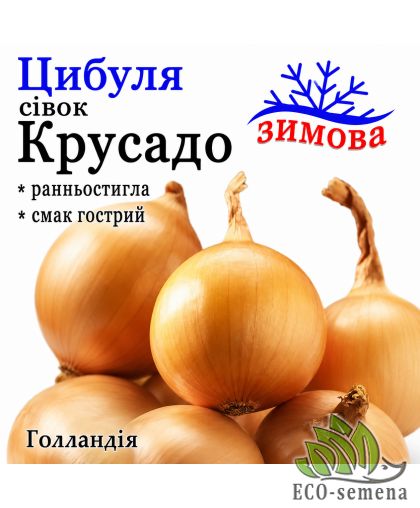 Лук-севок озимый Крусадо TOP Onions / Голландия 0,5 кг Лук-севок озимый Крусадо TOP Onions / Голландия 0,5 кг