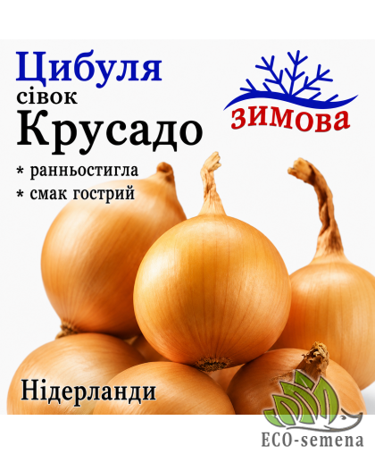 Лук-севок озимый Крусадо TOP Onions / Нидерланды 0,5 кг 