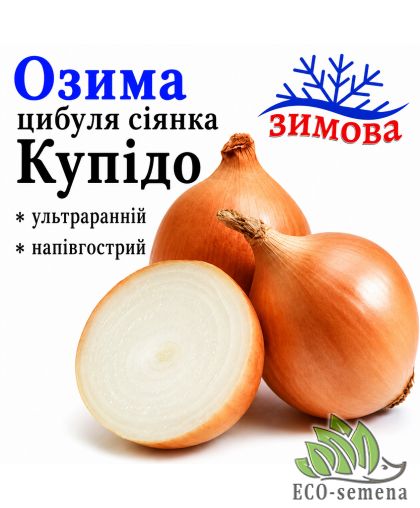 Лук-севок озимый Купидо (Cupido) TOP Onions / Голландия 0,5 кг Лук-севок озимый Купидо (Cupido) TOP Onions / Голландия 0,5 кг