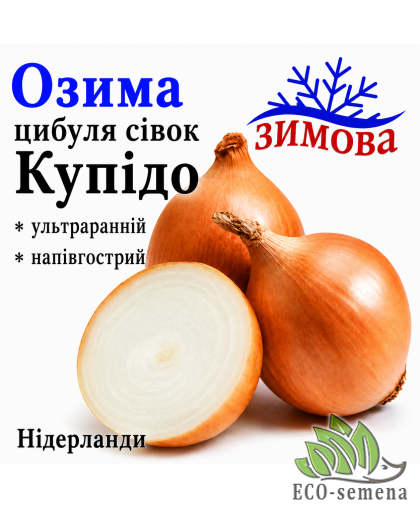 Лук-севок озимый Купидо (Cupido) TOP Onions / Нидерланды 0,5 кг 