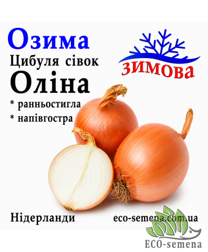 Лук-севок озимый Олина F1 (Olina F1) TOP Onions / Нидерланды 0,5 кг 