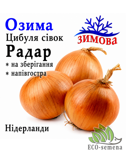 Лук-севок озимый Радар (Рейдер) Broer / Нидерланды 1 кг 