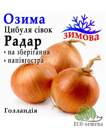 Лук-севок озимый Радар (Рейдер) Broer / Голландия 1 кг 