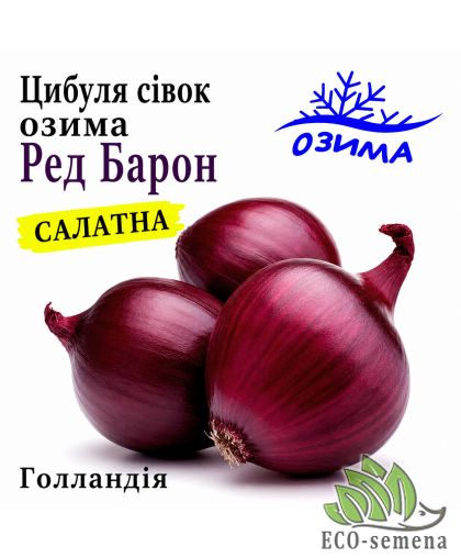 Лук-севок озимый Ред Барон (Red Baron) Broer / Голландия 0,5 кг Лук-севок озимый Ред Барон (Red Baron) Broer / Голландия 0,5 кг