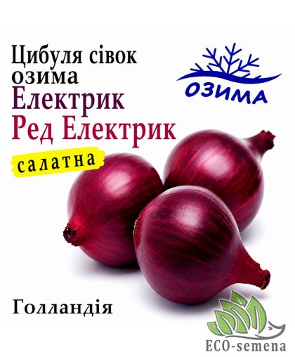 Лук-севок озимый Ред Электрик (Electric) Broer / Голландия 0,5 кг Лук-севок озимый Ред Электрик (Electric) Broer / Голландия 0,5 кг