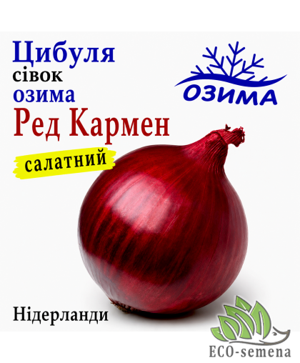 Лук-севок озимый Ред Кармен (Red Karmen) TOP Onions / Нидерланды 0,5 кг