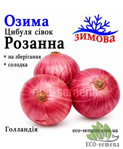 Лук-севок озимый Розанна (Rocanna) TOP Onions / Голландия 1 кг Лук-севок озимый Розанна (Rocanna) TOP Onions / Голландия 1 кг