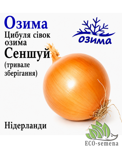 Лук-севок озимый Сеншуй (Senshuy) Broer / Нидерланды 1 кг Лук-севок озимый Сеншуй (Senshuy) Broer / Нидерланды 1 кг