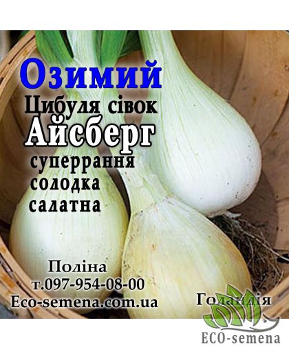 Лук севок озимый Айсберг (Aisberg) Голландия 1 кг Лук севок озимый Айсберг (Aisberg) Голландия 1 кг