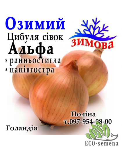 Лук севок озимый Альфа (Alfa) Голландия, 1кг Лук севок озимый Альфа (Alfa) Голландия, 1кг