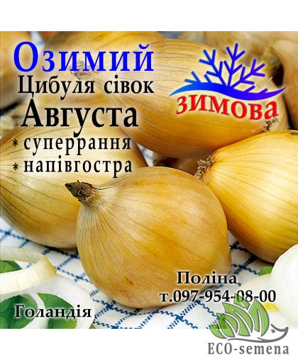 Лук севок озимый Августа (Augusta) Голландия 1 кг Лук севок озимый Августа (Augusta) Голландия 1 кг