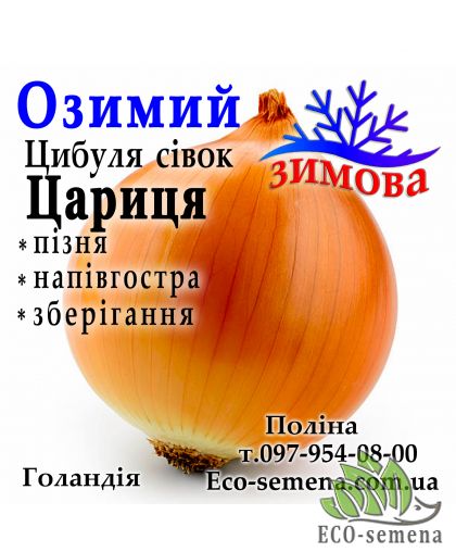 Лук-севок озимый Царица (Caryca) Голландия 1 кг 