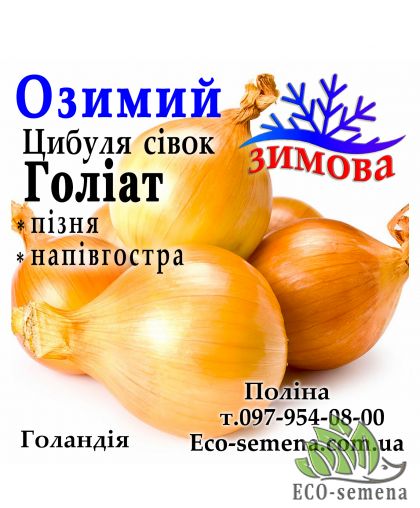 Лук севок озимый Голиат (Goliat) , Голландия, 1 кг Лук севок озимый Голиат (Goliat) , Голландия, 1 кг