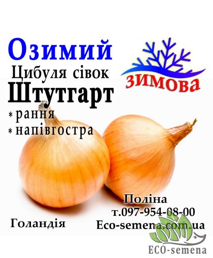 Лук-севок озимый Штутгартен Стенфилд (Stuttgarten Stenfild) Broer / Голландия 0,5 кг Лук-севок озимый Штутгартен Стенфилд (Stuttgarten Stenfild) Broer / Голландия 0,5 кг