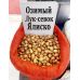 Лук севок озимый Ялиско Голландия 1 кг 