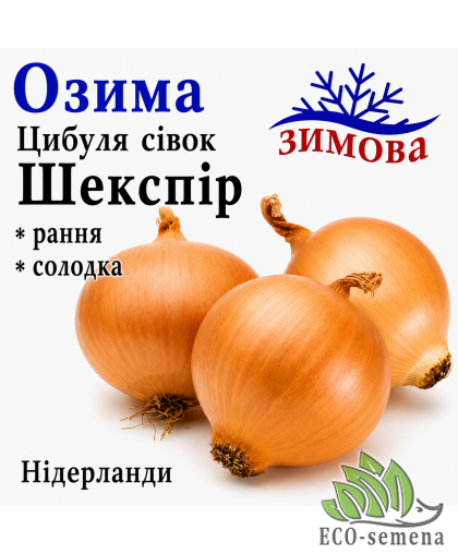 Лук-севок озимый Шекспир (Shakespeare) TOP Onions / Нидерланды 0,5 кг