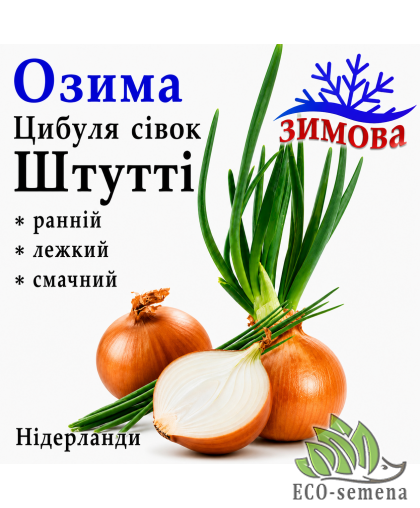 Лук-севок озимый Штутти (Stutti) TOP Onions / Нидерланды 0,5 кг 