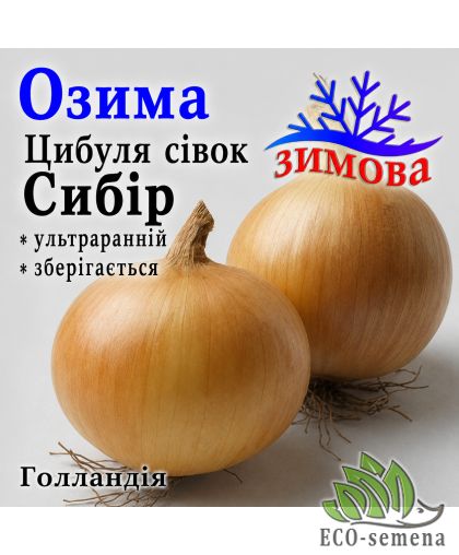 Лук-севок озимый Сибирь Broer / Голландия 1 кг