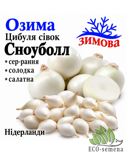 Лук-севок озимый СноуБолл (Белый шар) TOP Onions / Нидерланды 0,5 кг 