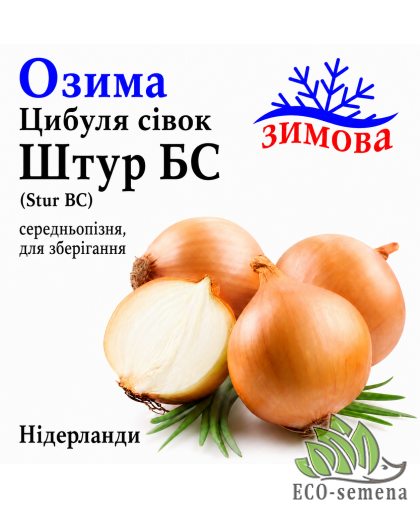 Лук-севок озимый Штур БС (Stur BC) Broer / Нидерланды 0,5 кг Лук-севок озимый Штур БС (Stur BC) Broer / Нидерланды 0,5 кг