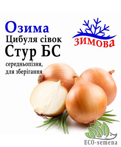 Лук-севок озимый Штур БС (Stur BC) Broer / Голландия 0,5 кг 