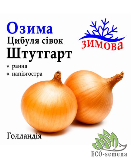 Лук-севок озимый Штутгартен Стенфилд (Stuttgarter Stenfild) Broer / Голландия 1 кг Лук-севок озимый Штутгартен Стенфилд (Stuttgarter Stenfild) Broer / Голландия 1 кг