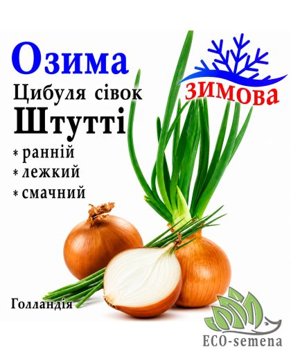 Лук-севок озимый Штутти (Stutti) TOP Onions / Голландия 0,5 кг Лук-севок озимый Штутти (Stutti) TOP Onions / Голландия 0,5 кг
