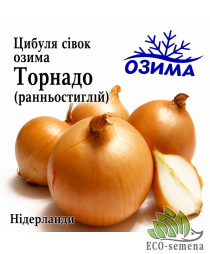 Лук-севок озимый Торнадо (Tornаdo) TOP Onions / Нидерланды 0,5 кг 
