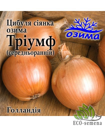 Лук-севок озимый Триумф (Triumf) TOP Onions / Голландия 0,5 кг Лук-севок озимый Триумф (Triumf) TOP Onions / Голландия 0,5 кг