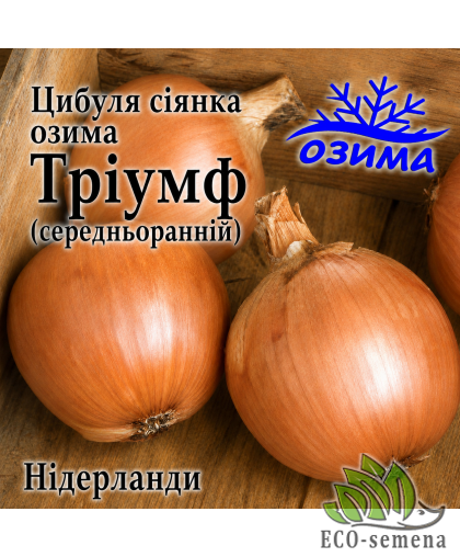 Лук-севок озимый Триумф (Triumf) TOP Onions / Нидерланды 0,5 кг 