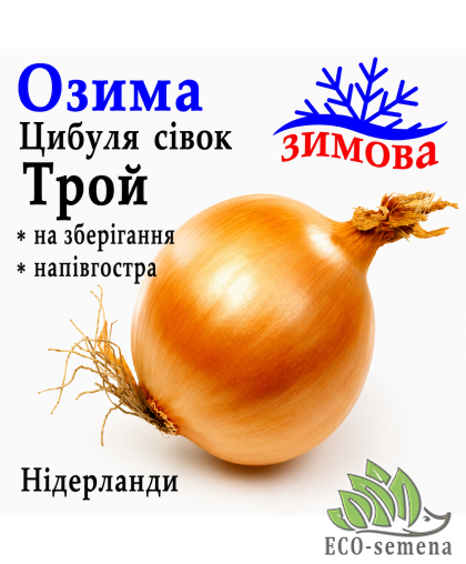 Лук-севок озимый Трой F1 (Troy) Broer / Нидерланды 0,5 кг Лук-севок озимый Трой F1 (Troy) Broer / Нидерланды 0,5 кг