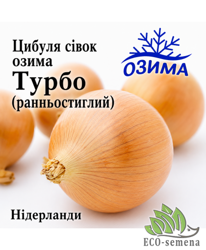Лук-севок озимый Турбо (Turbo) TOP Onions / Нидерланды 1 кг 