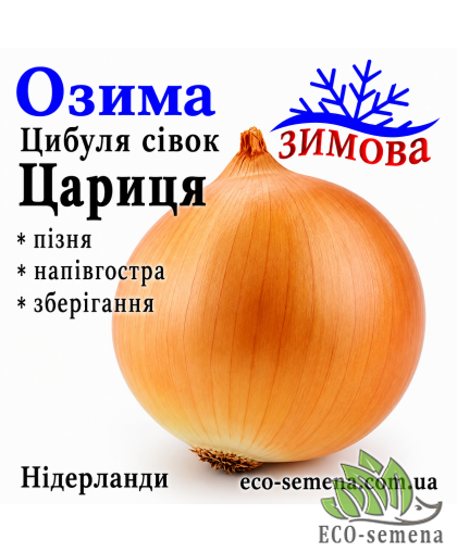 Лук-севок озимый Царица (Caryca) Нидерланды 0,5 кг 