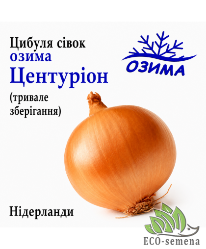 Лук-севок озимый Центурион (Centurion) Broer / Нидерланды 0,5 кг Лук-севок озимый Центурион (Centurion) Broer / Нидерланды 0,5 кг