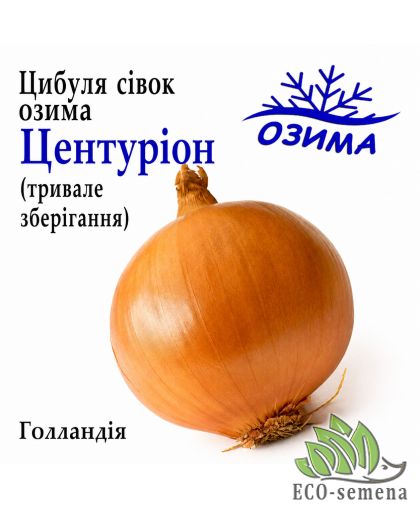 Лук-севок озимый Центурион (Centurion) Broer / Голландия 0,5 кг 